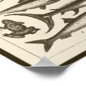 C R I T T E R S POSTER (Hoek)