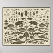 C R I T T E R S POSTER (Voorkant)