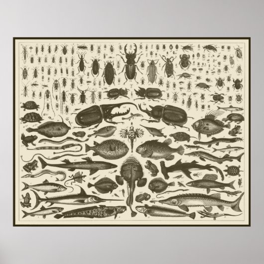 C R I T T E R S POSTER (Voorkant)