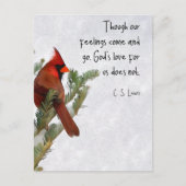 C.S. Lewis Citaat Ansichtkaart Briefkaart (Voorkant)