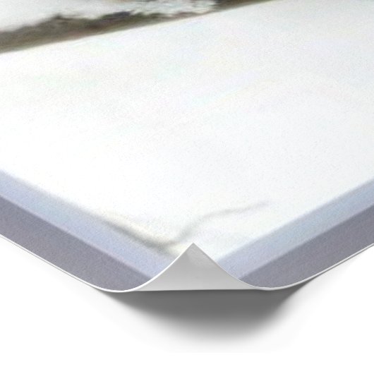 C. S. Lewis en de Owls Poster (Hoek)