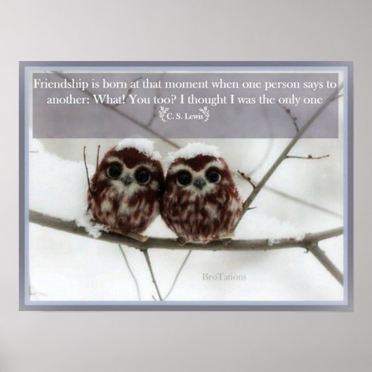 C. S. Lewis en de Owls Poster (Voorkant)