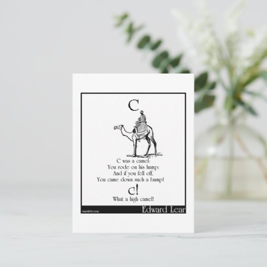 C was een kameel briefkaart (Staand voorkant)