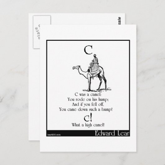 C was een kameel briefkaart (Voorkant / Achterkant)