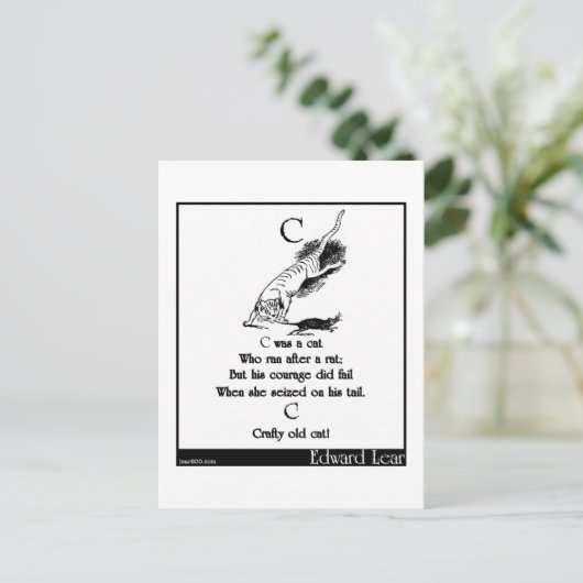 C was een kat briefkaart (Staand voorkant)