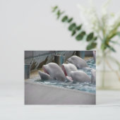 CA81WX4Z BRIEFKAART (Staand voorkant)