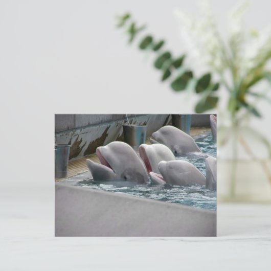 CA81WX4Z BRIEFKAART (Staand voorkant)