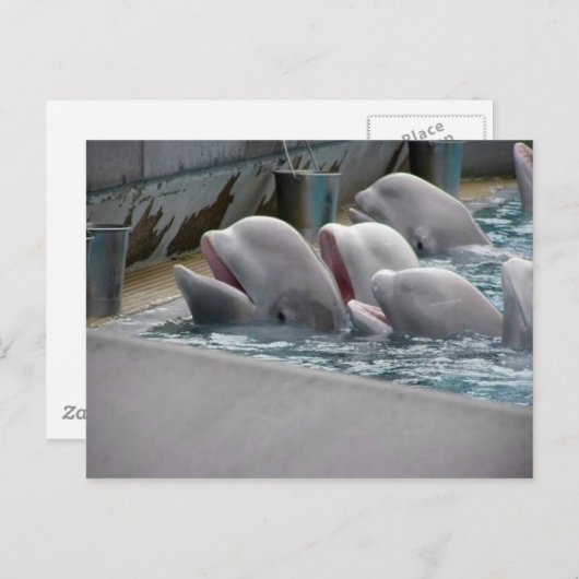 CA81WX4Z BRIEFKAART (Voorkant / Achterkant)