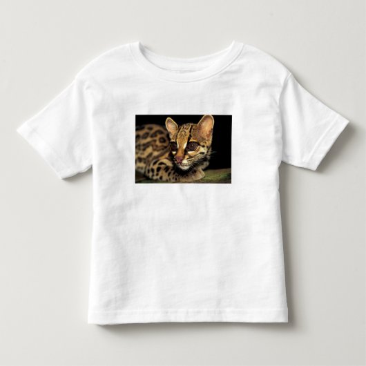 CA, Centraal Panama, Soberania NP, Margay 2 Kinder Shirts (Voorkant)