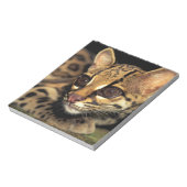 CA, Centraal Panama, Soberania NP, Margay 2 Notitieblok (Linkerzijde)