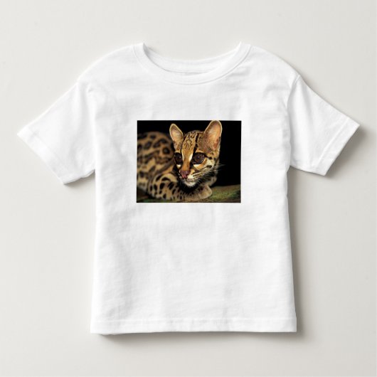 CA, Central Panama, Soberania NP, Margay 2 Kinder Shirts (Voorkant)