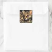 CA, Central Panama, Soberania NP, Margay 2 Vierkante Sticker (Tas)