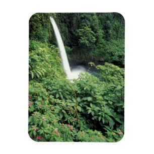 CA, Costa Rica. La Paz-waterval en balsemien Magneet