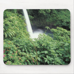 CA, Costa Rica. La Paz-waterval en balsemien Muismat