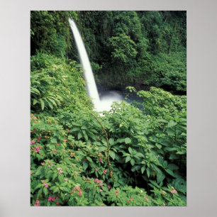 CA, Costa Rica. La Paz-waterval en balsemien Poster