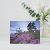 CA, Crescent City, Battery Point vuurtoren met Briefkaart (Staand voorkant)