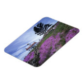 CA, Crescent City, Battery Point vuurtoren met Magneet (Linkerzijde)