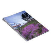 CA, Crescent City, Battery Point vuurtoren met Notitieboek (Rechterzijde)