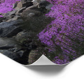 CA, Crescent City, Battery Point vuurtoren met Poster (Hoek)