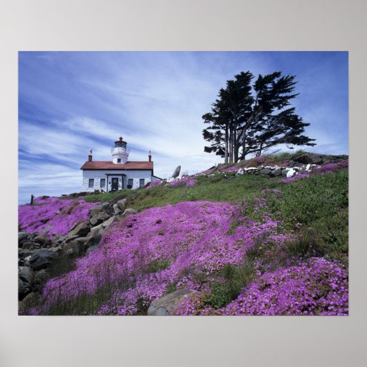 CA, Crescent City, Battery Point vuurtoren met Poster (Voorkant)