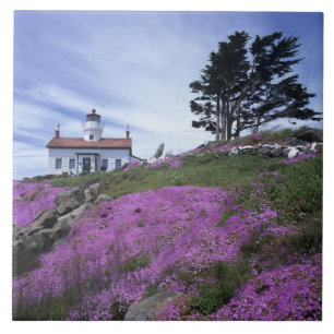 CA, Crescent City, Battery Point vuurtoren met Tegeltje