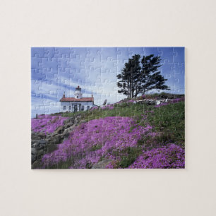 CA, Crescent City, vuurtoren Battery Point met Legpuzzel