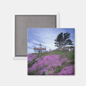 CA, Crescent City, vuurtoren Battery Point met Magneet (Voorkant / Achterkant)