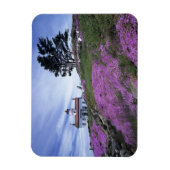 CA, Crescent City, vuurtoren Battery Point met Magneet (Verticaal)