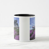 CA, Crescent City, vuurtoren Battery Point met Mok (Midden)