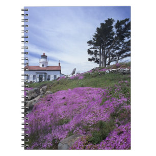 CA, Crescent City, vuurtoren Battery Point met Notitieboek