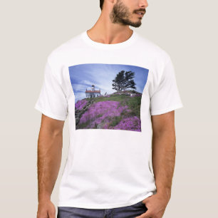CA, Crescent City, vuurtoren Battery Point met T-shirt