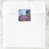 CA, Crescent City, vuurtoren Battery Point met Vierkante Sticker (Tas)