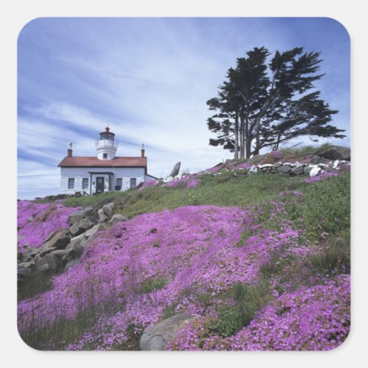 CA, Crescent City, vuurtoren Battery Point met Vierkante Sticker (Voorkant)