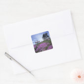 CA, Crescent City, vuurtoren Battery Point met Vierkante Sticker (Envelop)