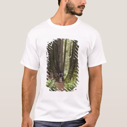 CA, Jedediah Smith Redwood State Park T-shirt (Voorkant)
