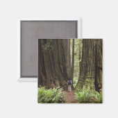 CA, Jedediah Smith Redwoods State Park, Magneet (Voorkant / Achterkant)