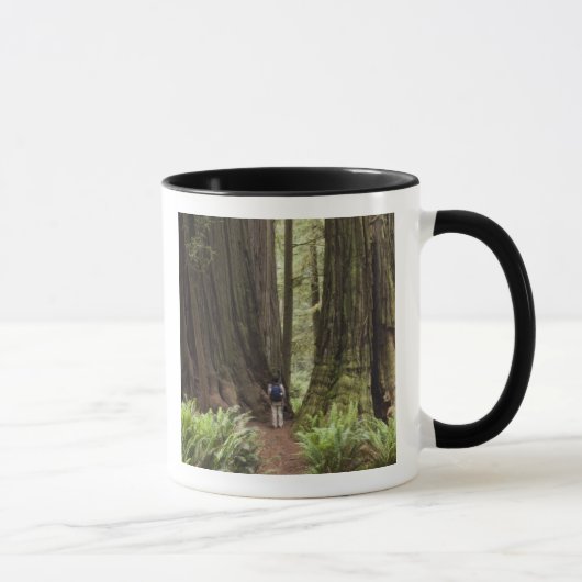 CA, Jedediah Smith Redwoods State Park, Mok (Rechts)