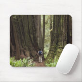 CA, Jedediah Smith Redwoods State Park, Muismat (Met muis)