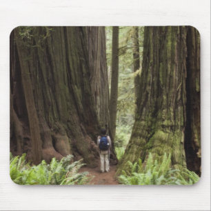 CA, Jedediah Smith Redwoods State Park, Muismat