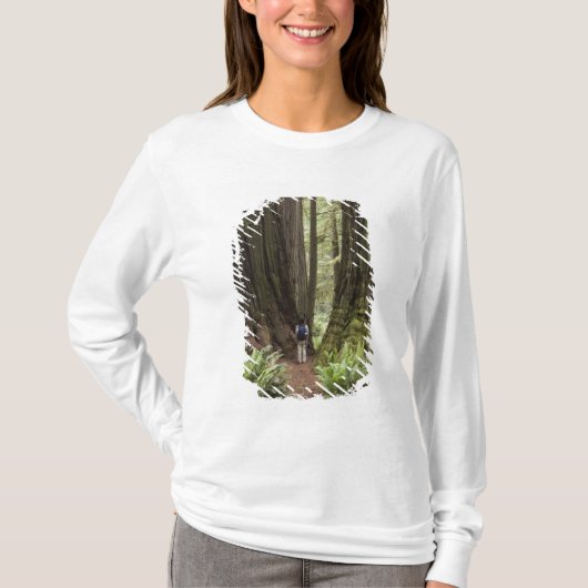 CA, Jedediah Smith Redwoods State Park, T-shirt (Voorkant)
