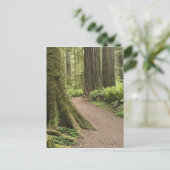 CA, Jedediah Smith State Park, Simpson-Reed Briefkaart (Staand voorkant)