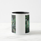 CA, Panama, Soberania NP, Keel-billed Tuccan Mok (Midden)