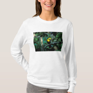 CA, Panama, Soberania NP, Keelsnaveltoucan T-shirt