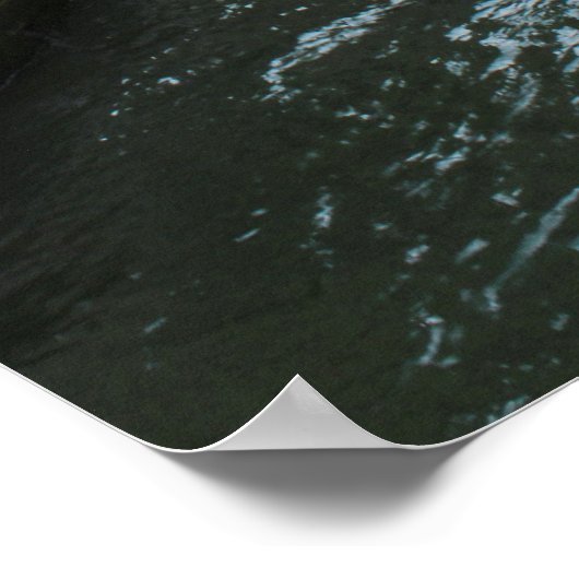 Ca' Pesaro Poster (Hoek)