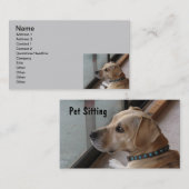 CA- Visitekaartjes voor gezelschapsdieren (Voorkant / Achterkant)