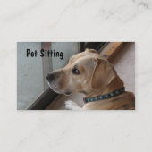 CA- Visitekaartjes voor gezelschapsdieren (Achterkant)