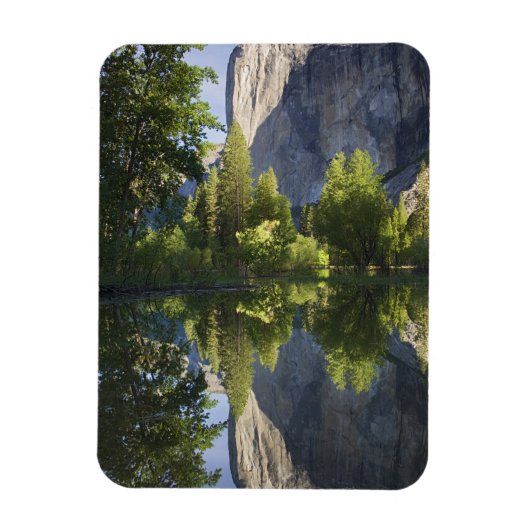 CA, Yosemite NP, El Capitan weerspiegeld in Merced Magneet (Verticaal)