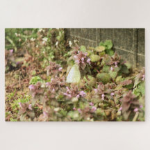 Cabagemut op paarse bloemen