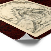 Cabala & Alchymia: 1663 Alchemical Illustration Poster (Hoek)