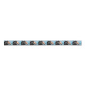 Caballos/Cabalos/Horses Grosgrain Lint (Voorkant)